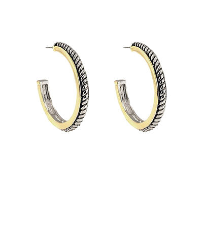 Silver & Gold Hoops